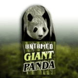 Untamed Giant Panda
