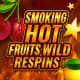 Smoking Hot Fruits Wild Respins game icon