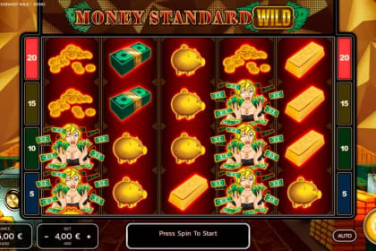 Money Standard Wild gameplay image