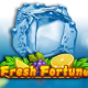 Fresh Fortune game icon