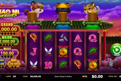Miao Mi Warriors gameplay image