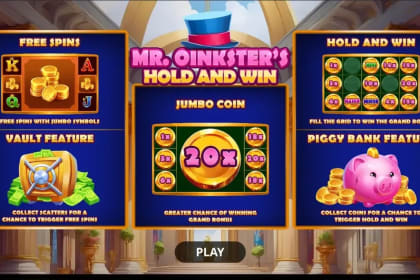 Mr. Oinksters Hold and Win gameplay image
