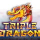 Triple Dragon game icon