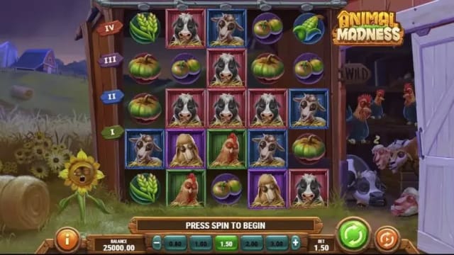 Animal Madness