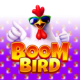 Boom Bird game icon