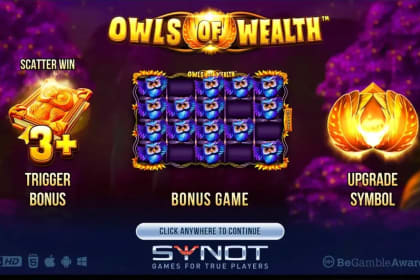 Owls of Wealth gameplay image