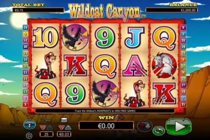 Wild Cat Canyon gameplay image