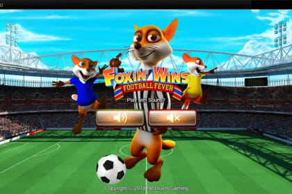 Foxin Wins Football Fever gameplay image