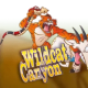 Wildcat Canyon game icon