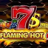 Flaming Hot 6 reels