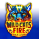 Wild Cats Fire game icon