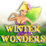 Winter Wonders