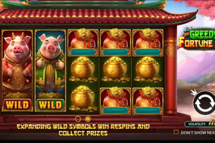 Greedy Fortune Pig gameplay image