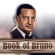 Book of Bruno game icon