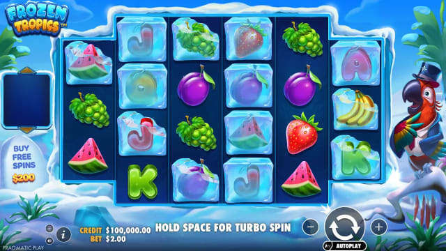 Frozen Tropics