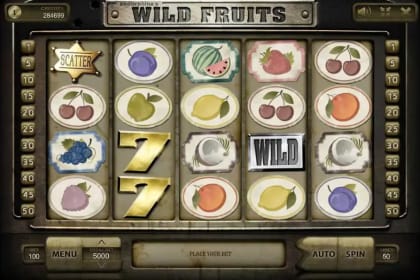 Wild Fruits gameplay image
