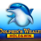 Dolphin's Wealth Hold And Win game icon