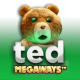 Ted Megaways game icon
