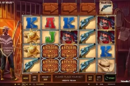 A Fistful of Wilds gameplay image