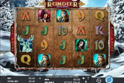 Reindeer Wild Wins gameplay image