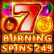 Burning Spins 243 game icon