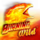 Burning Wild game icon