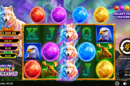 Area Link Wolf Unleashed gameplay image