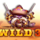 The Wild 3 game icon