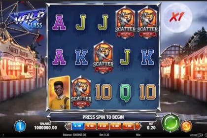 The Wild Class gameplay image