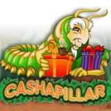 Cashapillar