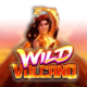 Wild Volcano game icon