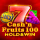 Cash'n Fruits 100 Hold And Win game icon