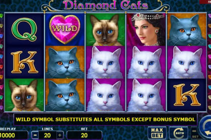 Diamond Cats gameplay image