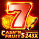 Cash'n Fruits 243 X game icon
