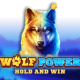 Wolf Power game icon