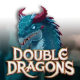 Double Dragons game icon