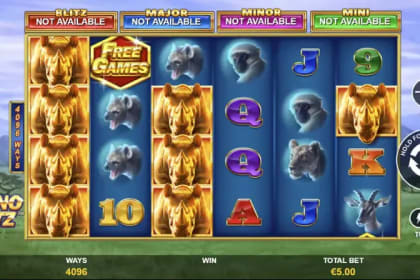 Rhino Blitz gameplay image
