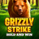 Grizzly Strike game icon