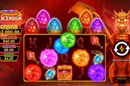 Area Link Dragon Ascension gameplay image