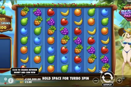 Wild Beach Party gameplay image
