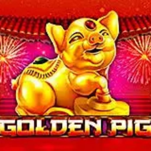 Golden Pig
