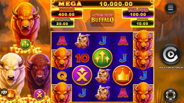 Action Ways Buffalo