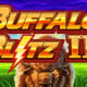 Buffalo Blitz 2 game icon