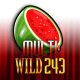 Multi Wild 243 game icon