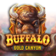 Buffalo Gold Canyon game icon