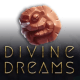 Divine Dreams game icon