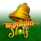 Burning Slots game icon