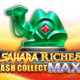 Sahara Riches Cash Collect Max game icon