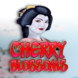 Cherry Blossom