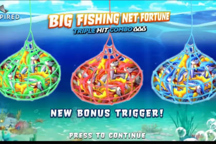 Big Fishing Net Fortune gameplay image